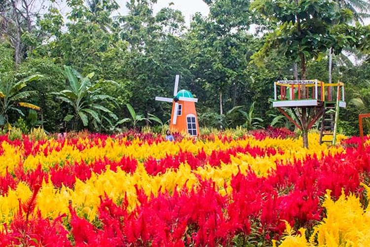 Taman Bunga Terbaik Di Indonesia 2020